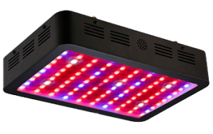 1000 Watt Led Grow Light Reviews