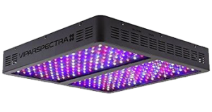 1000 Watt Led Grow Light Reviews