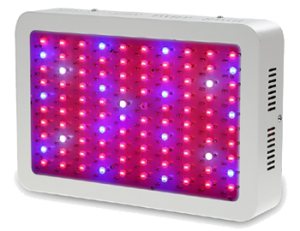 1000 Watt Led Grow Light Reviews