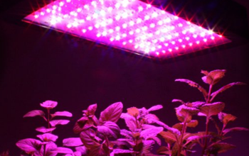 Grow Lights