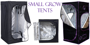Best Small Grow Tents