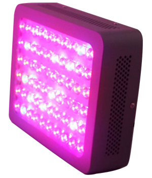 COB Grow Light