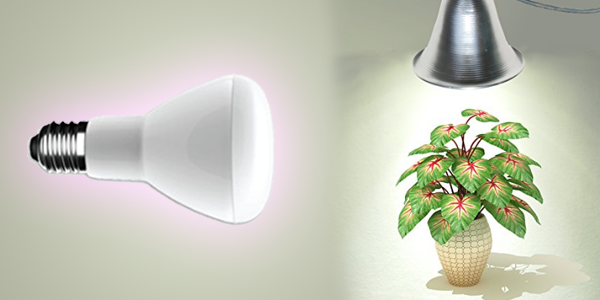 Miracle Led Grow Light Bulb Review
