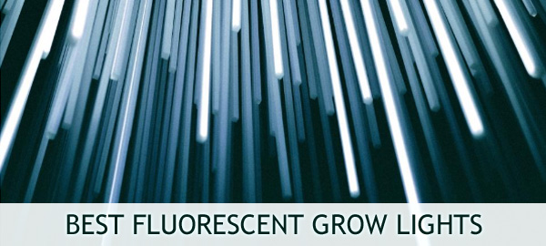 Best Fluorescent Grow Lights