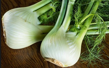 fennel