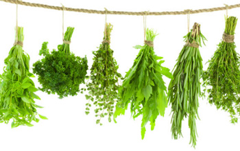 herbs