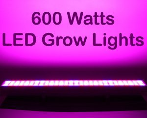 600 Watt Grow Lights