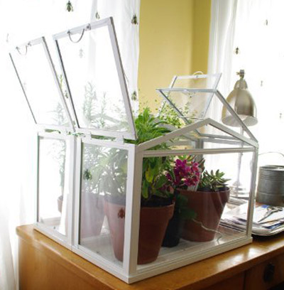 Ikea Mini Greenhouse